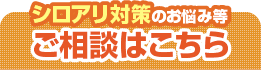 シロアリ駆除のお悩み等ご相談はこちら